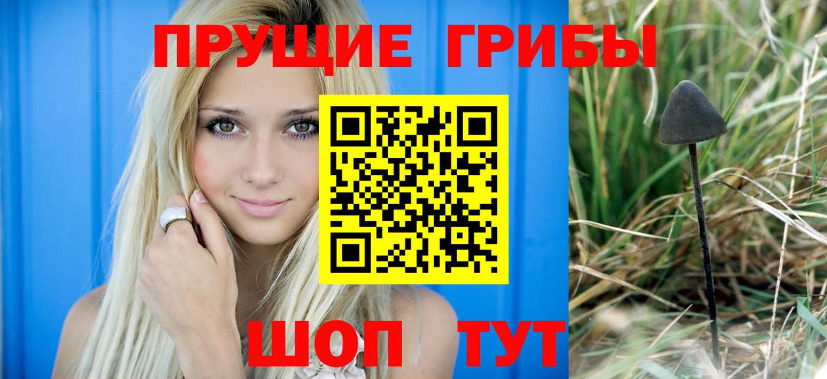 Родники  Галлюциногенные грибы мухоморы  Вход с VPN  Псилоцибиновые грибы Psilocybe 